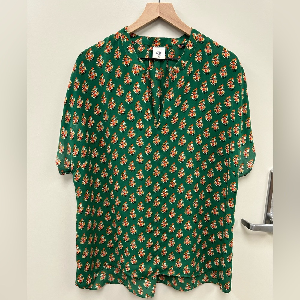 Cabi Stevie blouse!